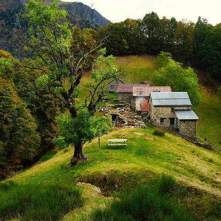 Horská chata Stones And Pines
