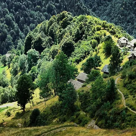 Stones And Pines Chalet *