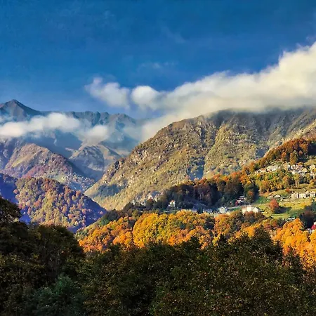 Stones And Pines * Rimella