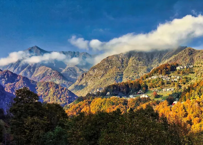 Stones And Pines * Rimella